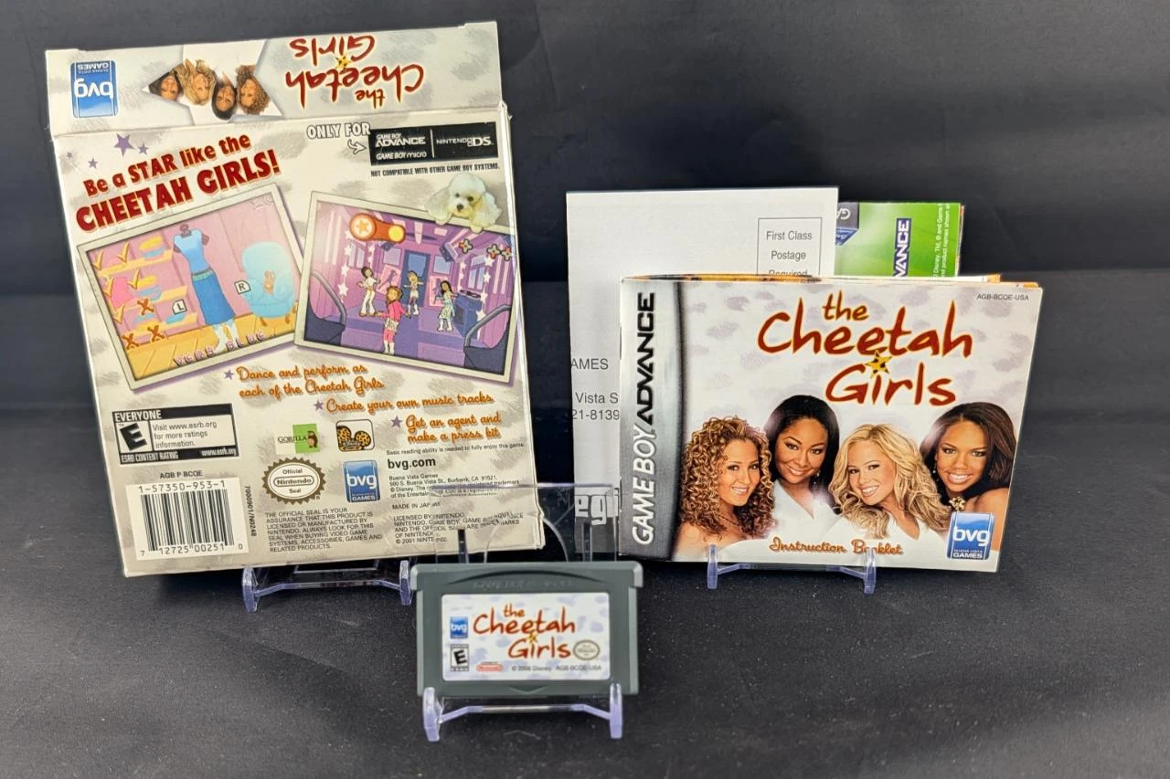 The Cheetah Girls – photo 2
